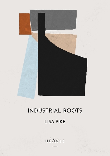 Паперова книга «Industrial Roots», автор Ліза Пайк - фото №1