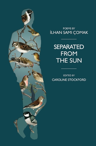 Бумажная книга «Separated from the Sun», автор Ильхан Чомак - фото №1
