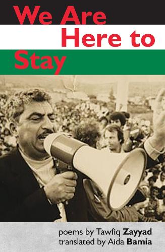 Бумажная книга «We Are Here to Stay», автор Тауфик Зайяд - фото №1