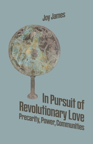 Паперова книга «In Pursuit Of Revolutionary Love», автор Джой Джеймс - фото №1