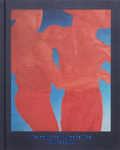 Бумажная книга «It's Not What It Looks Like», автор Ана Сеговия - фото №1