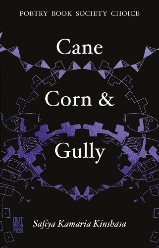 Бумажная книга «Cane, Corn & Gully», автор Сафия Камария Киншаса - фото №1