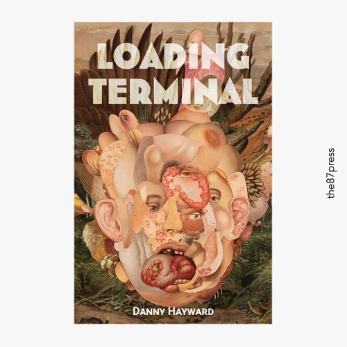 Паперова книга «Loading Terminal», автор Денні Хейворд - фото №1