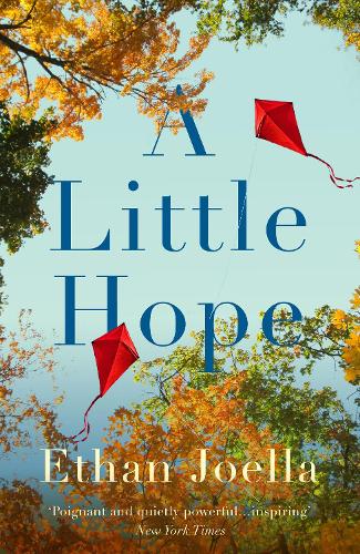Бумажная книга «A Little Hope», автор Итан Джоэлла - фото №1