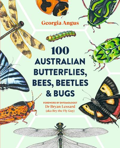Бумажная книга «100 Australian Butterflies, Bees, Beetles & Bugs», автор Джорджия Ангус - фото №1