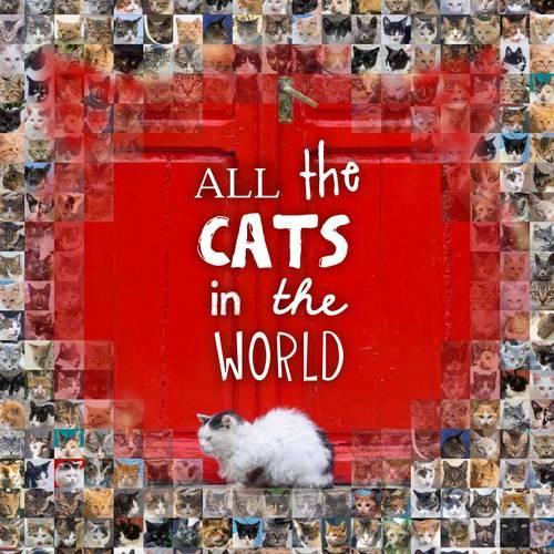 Бумажная книга «All the Cats in the World» - фото №1