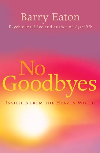 Паперова книга «No Goodbyes: Insights From the Heaven World», автор Баррі Ітон - фото №1