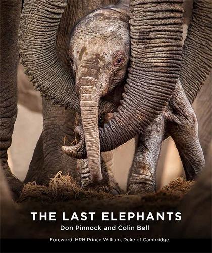 Бумажная книга «The Last Elephants», автор Колин Белл - фото №1