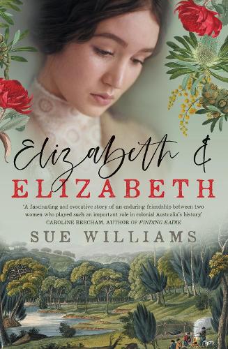 Бумажная книга «Elizabeth and Elizabeth», автор Сью Уильямс - фото №1