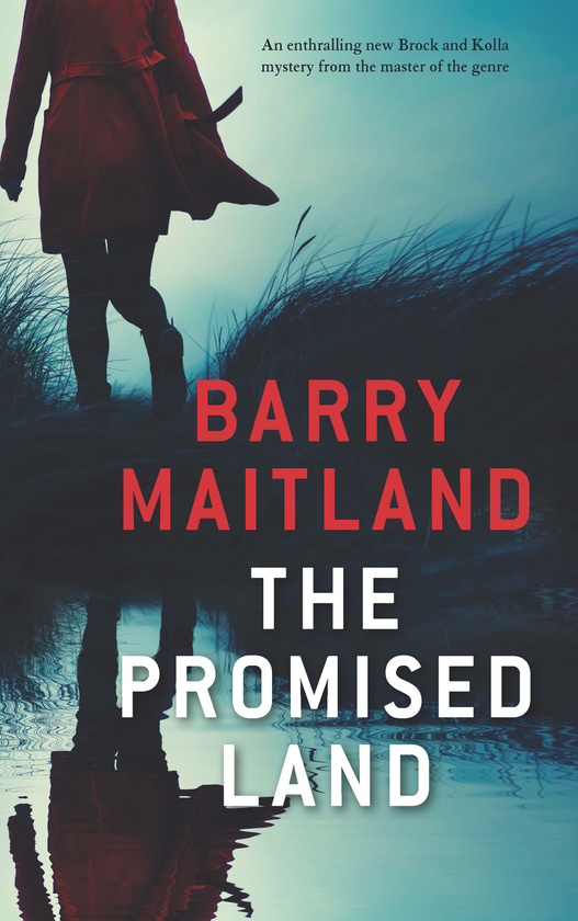 Бумажная книга «The Promised Land», автор Барри Мейтланд - фото №1