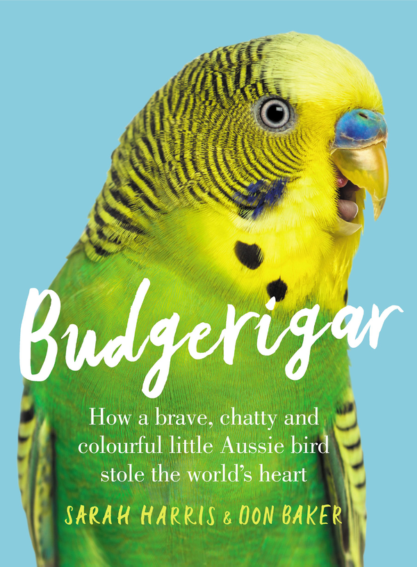 Бумажная книга «Budgerigar. How a brave, chatty and colourful little Aussie bird stole the world's heart», автор Дон Бейкер - фото №1