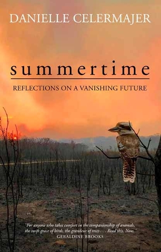Паперова книга «Summertime: Reflections on a Vanishing Future», автор Даніель Селермаєр - фото №1