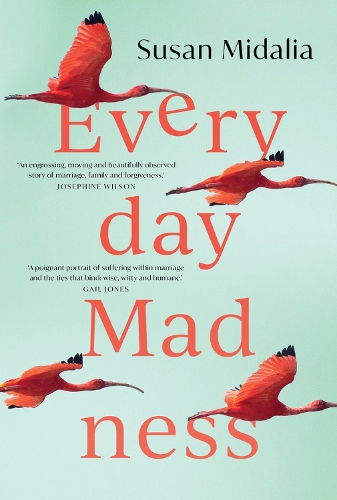 Бумажная книга «Everyday Madness», автор Сьюзан Мидалия - фото №1