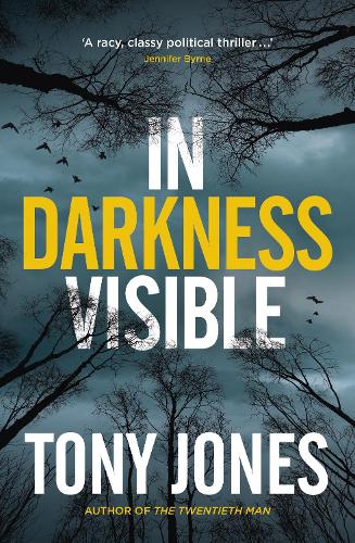 Бумажная книга «In Darkness Visible», автор Тони Джонс - фото №1