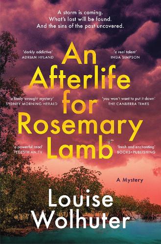 Паперова книга «An Afterlife for Rosemary Lamb», автор Луїза Вольхутер - фото №1