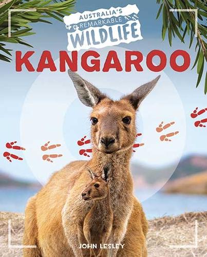 Paper book «Kangaroo», author John Leslie - фото №1