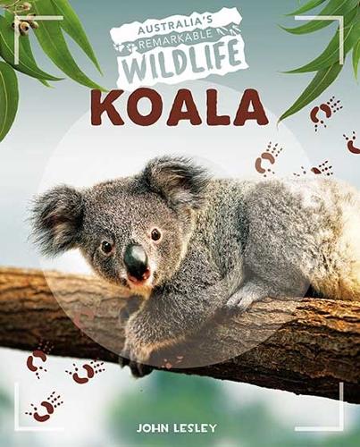 Paper book «Koala», author John Leslie - фото №1