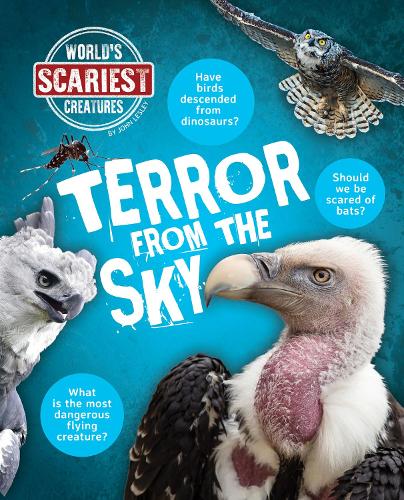 Бумажная книга «Terror From the Sky», автор Джон Лесли - фото №1