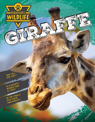 Paper book «Giraffe», author John Leslie - фото №1