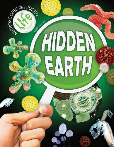Бумажная книга «Hidden Earth», автор Уоррен Сингер - фото №1