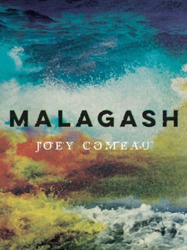 Бумажная книга «Malagash», автор Джоуи Комо - фото №1