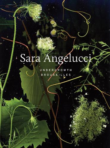 Паперова книга «Sara Angelucci: Undergrowth / Brousailles», авторів Сара Анджелуччі, Шеннон Андерсон - фото №1