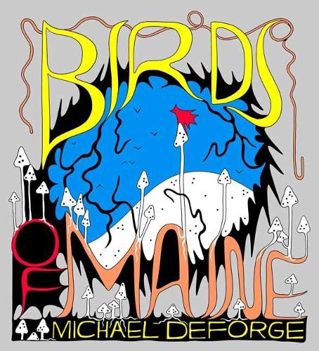 Паперова книга «Birds of Maine», автор Майкл ДеФордж - фото №1