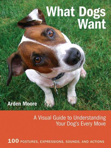  «What Dogs Want» - фото №1