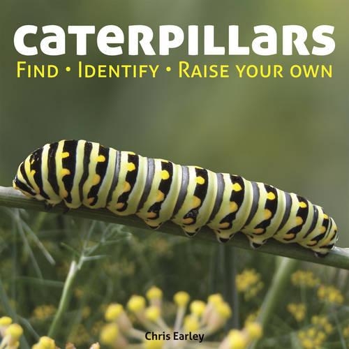 Бумажная книга «Caterpillars: Find - Identify - Raise Your Own», автор Крис Эрли - фото №1