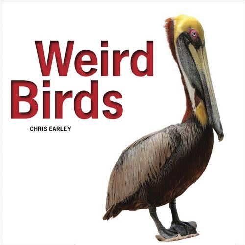 Бумажная книга «Weird Birds», автор Крис Эрли - фото №1