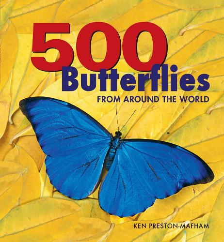 Паперова книга «500 Butterflies: From around the World», автор Кен Престон-Мафем - фото №1