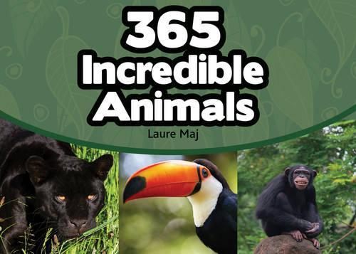 Бумажная книга «365 Incredible Animals», автор Лора Май - фото №1