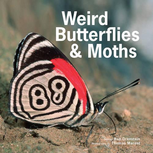 Бумажная книга «Weird Butterflies and Moths», автор Рональд Оренштейн - фото №1