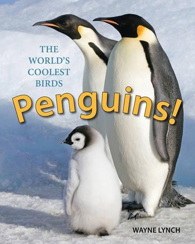 Паперова книга «Penguins! The World's Coolest Birds», автор Вейн Лінч - фото №1