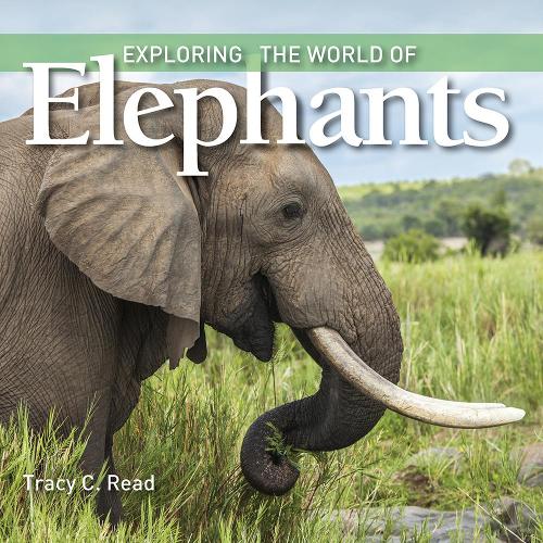Бумажная книга «Exploring the World of Elephants», автор Трейси К. Рид - фото №1