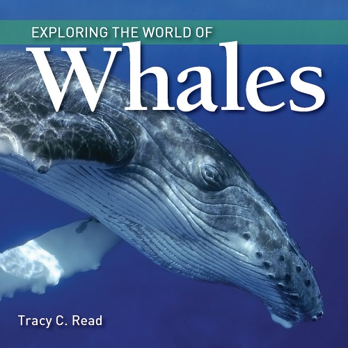 Бумажная книга «Exploring the World of Whales», автор Трейси К. Рид - фото №1