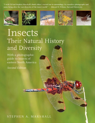  «Insects (2nd Edition)» - фото №1