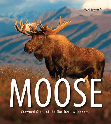 Бумажная книга «Moose: Crowned Giant of the Northern Wilderness», автор Марк Рэйкрофт - фото №1
