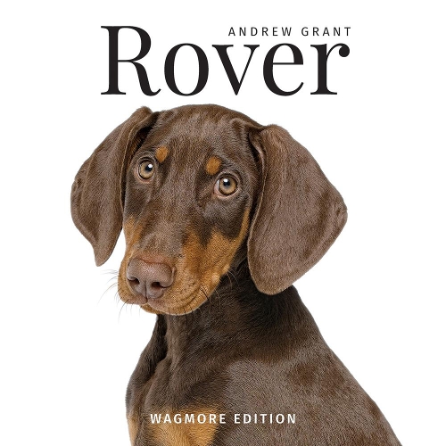  «Rover: The Wagmore Edition» - фото №1