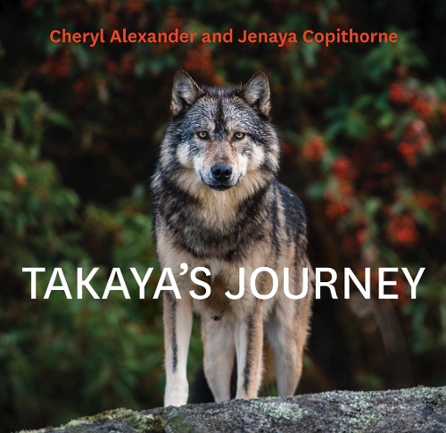 Бумажная книга «Takaya's Journey», авторов Шерил Александр, Дженайя Копиторн - фото №1