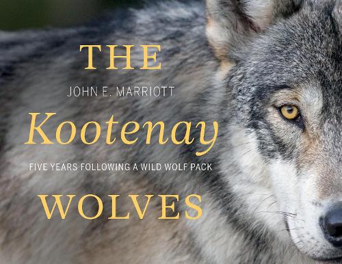  «Kootenay Wolves» - фото №1