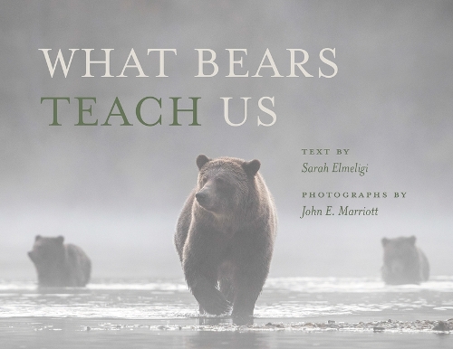 Бумажная книга «What Bears Teach Us», автор Сара Элмелиджи - фото №1