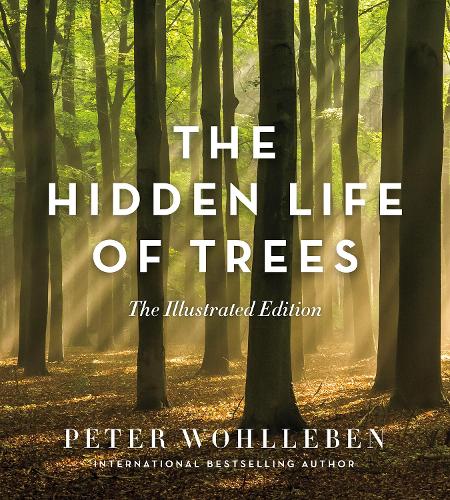 Бумажная книга «The Hidden Life of Trees: The Illustrated Edition», автор Петер Воллебен - фото №1