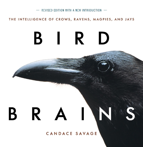 Паперова книга «Bird Brains: The Intelligence of Crows, Ravens, Magpies, and Jays», автор Кендіс Севідж - фото №1