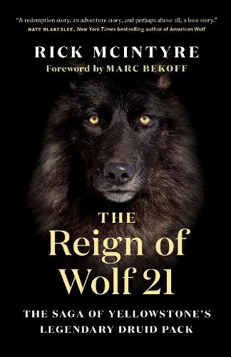 Паперова книга «The Reign of Wolf 21: The Saga of Yellowstone's Legendary Druid Pack», автор Рік Макінтайр - фото №1