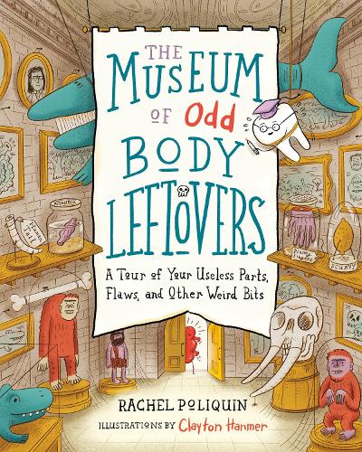 Бумажная книга «The Museum of Odd Body Leftovers: A Tour of Your Useless Parts, Flaws, and Other Weird Bits», автор Рэйчел Поликин - фото №1