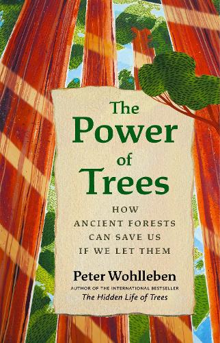 Паперова книга «The Power of Trees: How Ancient Forests Can Save Us if We Let Them», автор Петер Воллебен - фото №1