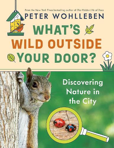 Бумажная книга «What's Wild Outside Your Door?: Discovering Nature in the City», автор Петер Воллебен - фото №1