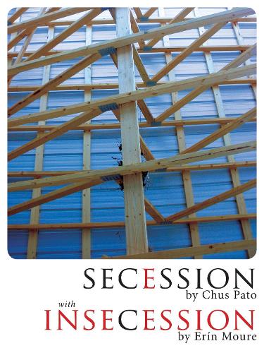 Бумажная книга «Secession/Insecession», авторов Чус Пато, Эрин Муре - фото №1