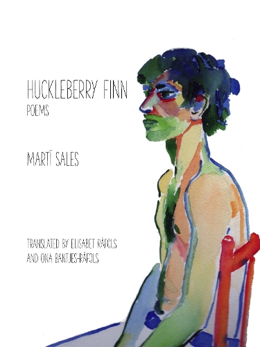 Паперова книга «Huckleberry Finn», автор Марті Сейлз - фото №1